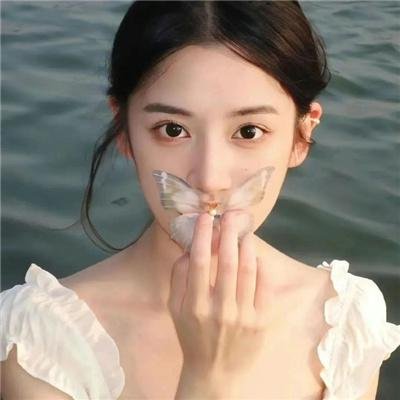 玫瑰的战争